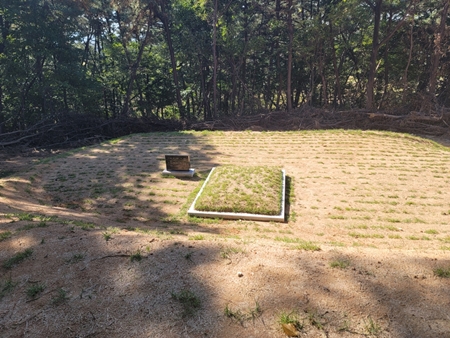 놀뫼장의사 PC 이미지 5575493