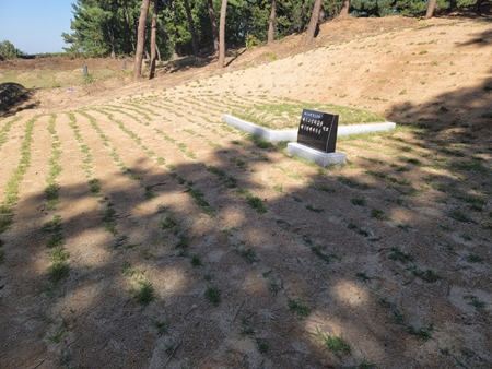 놀뫼장의사 PC 이미지 5575494