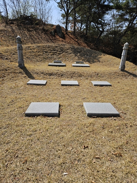 놀뫼장의사 PC 이미지 5575500