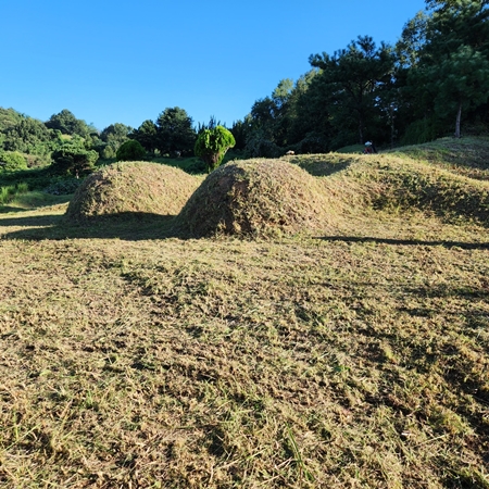 놀뫼장의사 PC 이미지 5575501