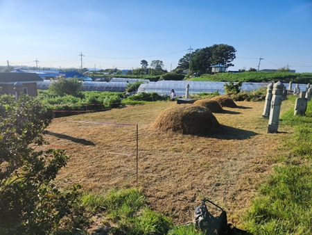 놀뫼장의사 PC 이미지 5575492