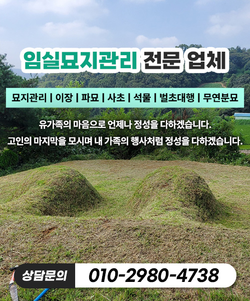 놀뫼장의사 모바일 비주얼 0