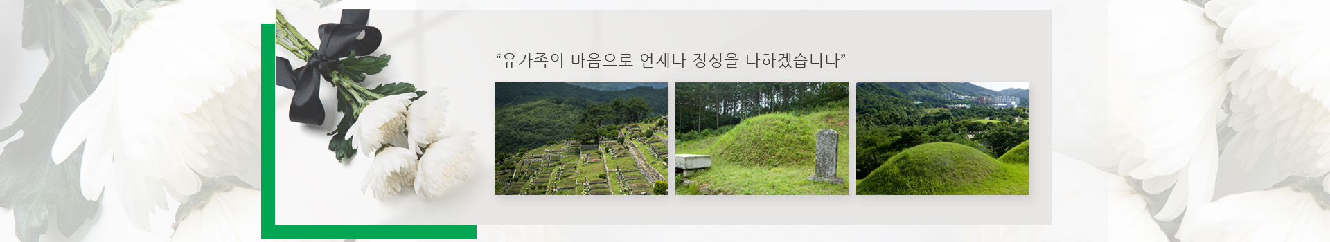 놀뫼장의사 PC 비주얼 0